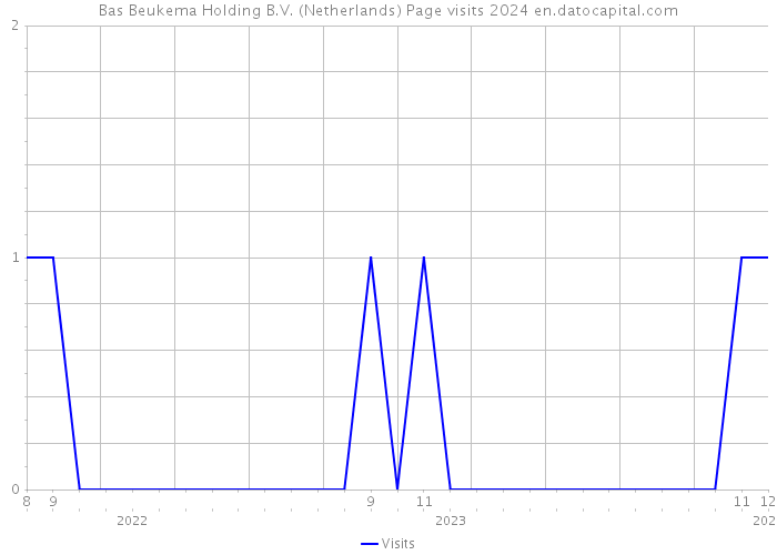 Bas Beukema Holding B.V. (Netherlands) Page visits 2024 