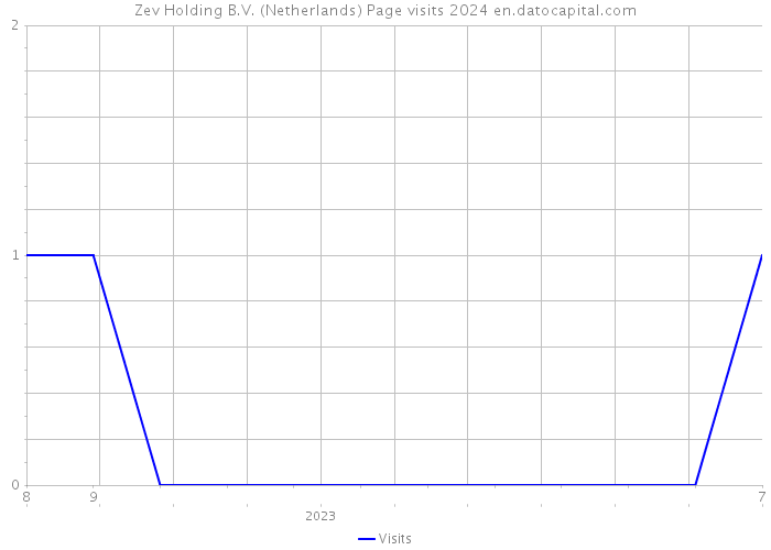Zev Holding B.V. (Netherlands) Page visits 2024 