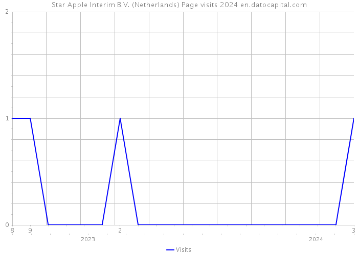 Star Apple Interim B.V. (Netherlands) Page visits 2024 