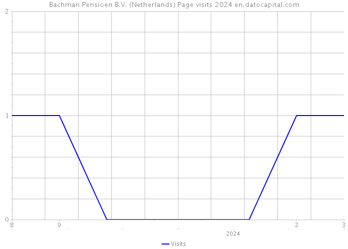 Bachman Pensioen B.V. (Netherlands) Page visits 2024 