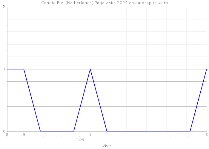 Candid B.V. (Netherlands) Page visits 2024 