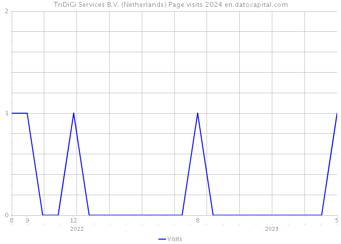 TriDiGi Services B.V. (Netherlands) Page visits 2024 