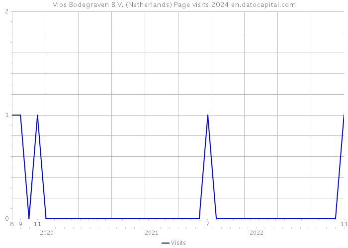Vios Bodegraven B.V. (Netherlands) Page visits 2024 