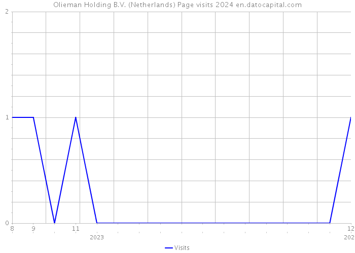 Olieman Holding B.V. (Netherlands) Page visits 2024 