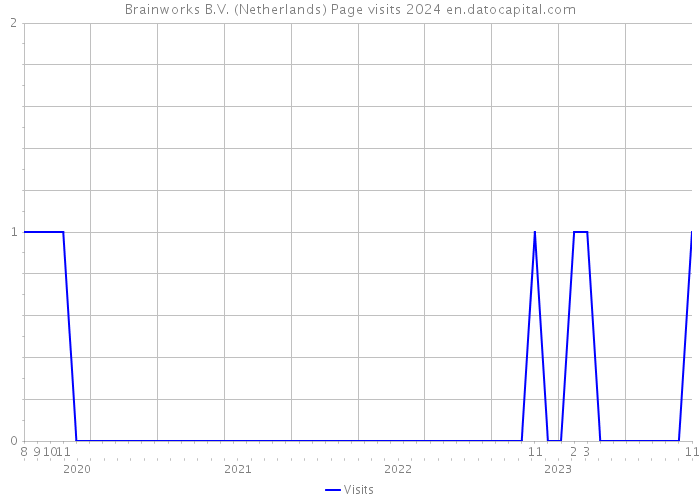 Brainworks B.V. (Netherlands) Page visits 2024 