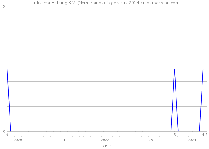 Turksema Holding B.V. (Netherlands) Page visits 2024 