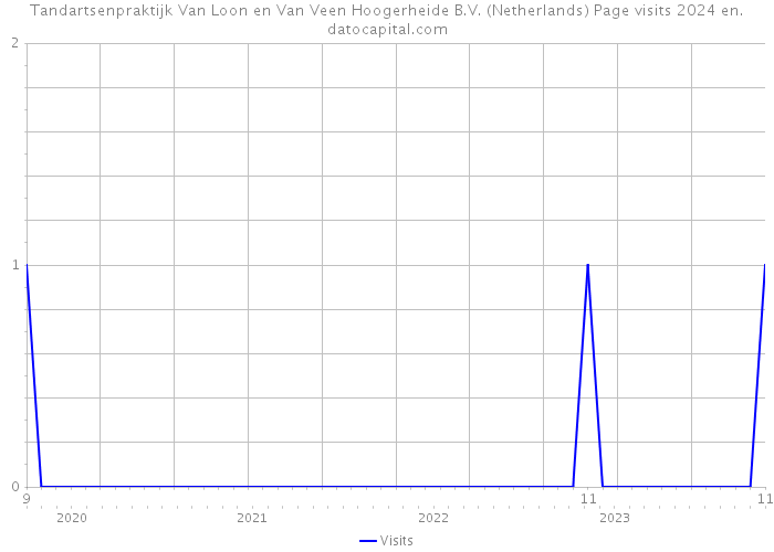 Tandartsenpraktijk Van Loon en Van Veen Hoogerheide B.V. (Netherlands) Page visits 2024 