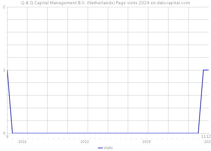 Q & Q Capital Management B.V. (Netherlands) Page visits 2024 