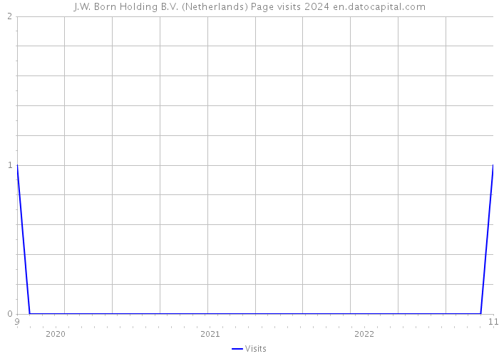 J.W. Born Holding B.V. (Netherlands) Page visits 2024 