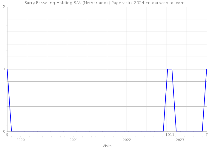 Barry Besseling Holding B.V. (Netherlands) Page visits 2024 