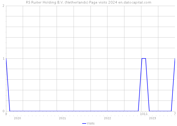 RS Ruiter Holding B.V. (Netherlands) Page visits 2024 