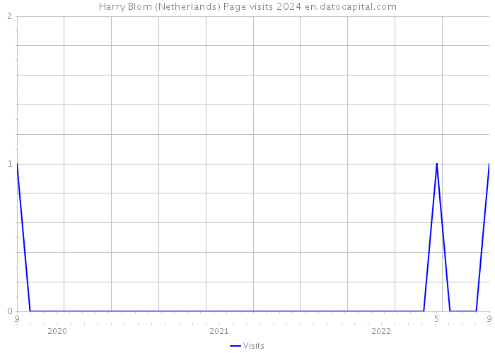 Harry Blom (Netherlands) Page visits 2024 