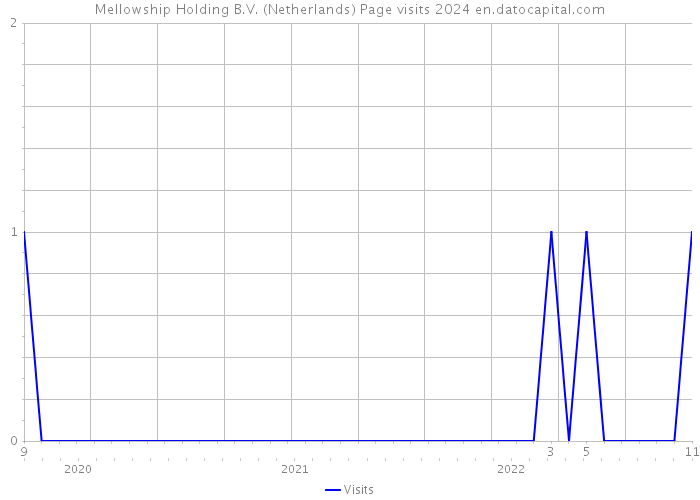 Mellowship Holding B.V. (Netherlands) Page visits 2024 