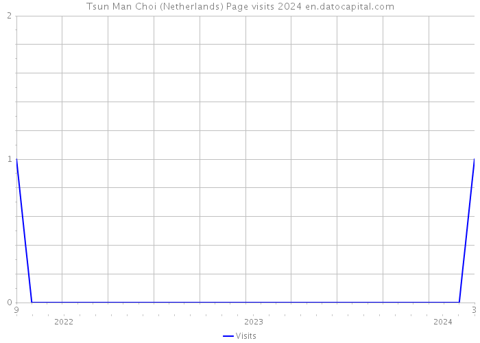Tsun Man Choi (Netherlands) Page visits 2024 