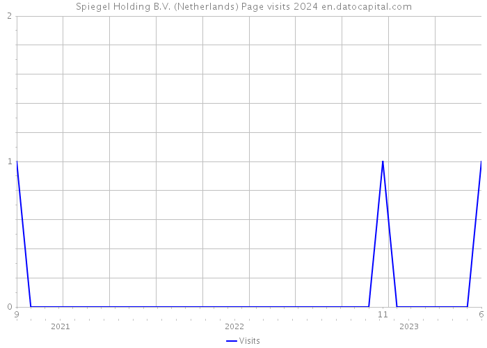 Spiegel Holding B.V. (Netherlands) Page visits 2024 