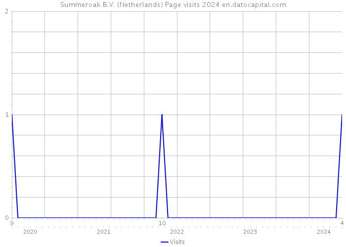 Summeroak B.V. (Netherlands) Page visits 2024 
