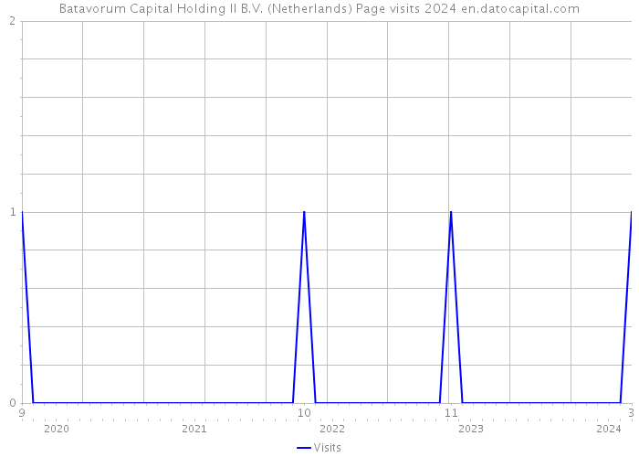 Batavorum Capital Holding II B.V. (Netherlands) Page visits 2024 