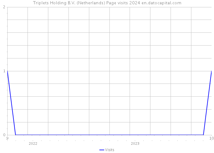 Triplets Holding B.V. (Netherlands) Page visits 2024 