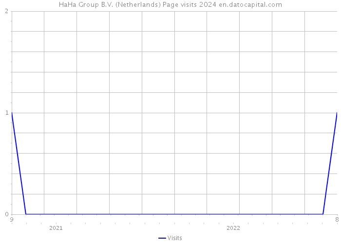 HaHa Group B.V. (Netherlands) Page visits 2024 