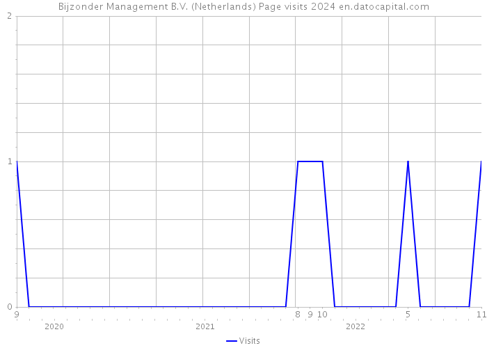 Bijzonder Management B.V. (Netherlands) Page visits 2024 