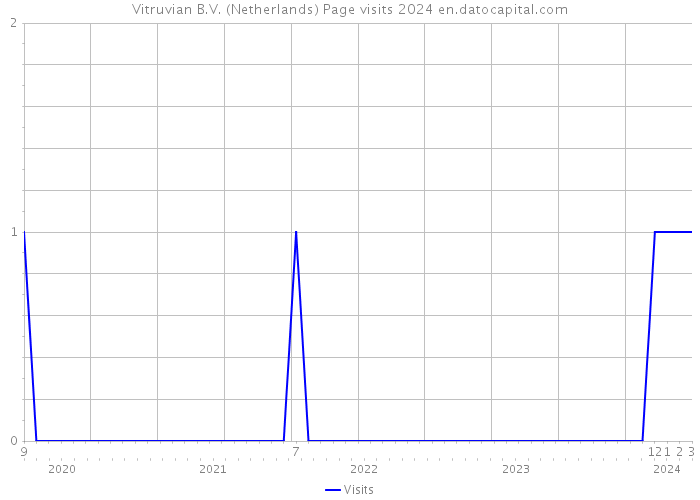 Vitruvian B.V. (Netherlands) Page visits 2024 