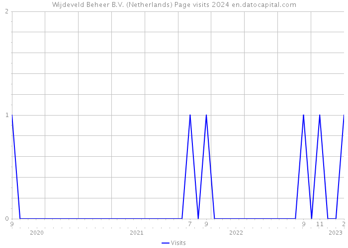 Wijdeveld Beheer B.V. (Netherlands) Page visits 2024 