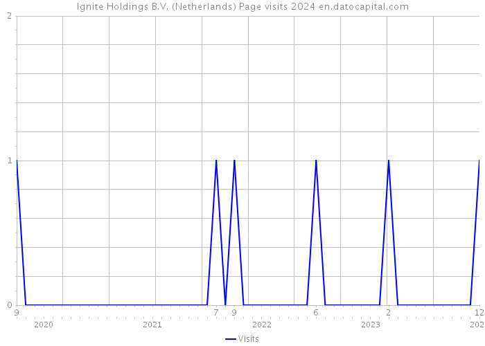 Ignite Holdings B.V. (Netherlands) Page visits 2024 