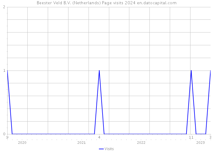 Beester Veld B.V. (Netherlands) Page visits 2024 