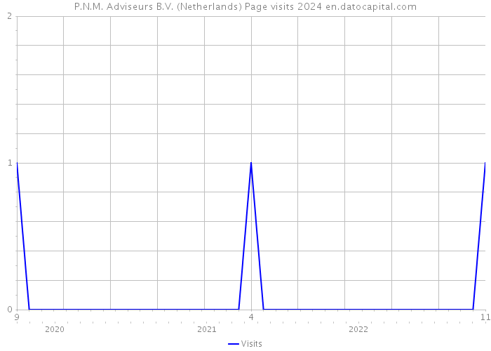 P.N.M. Adviseurs B.V. (Netherlands) Page visits 2024 