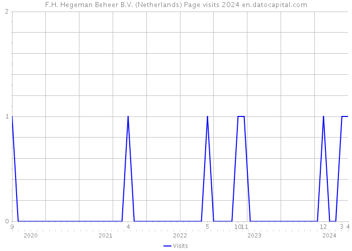 F.H. Hegeman Beheer B.V. (Netherlands) Page visits 2024 