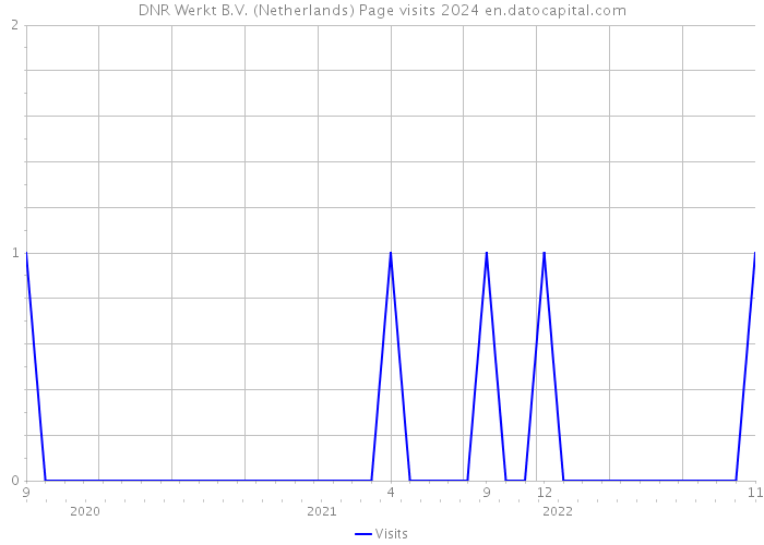 DNR Werkt B.V. (Netherlands) Page visits 2024 