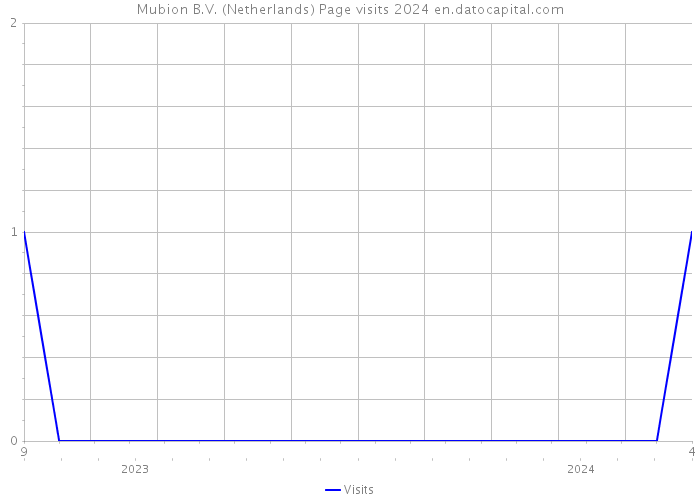 Mubion B.V. (Netherlands) Page visits 2024 