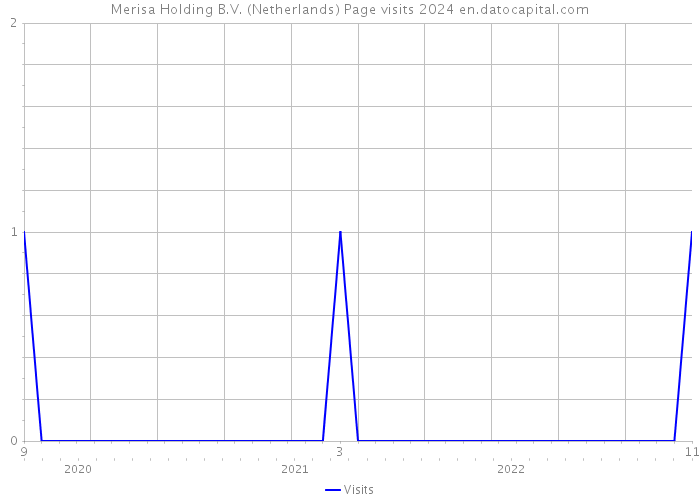 Merisa Holding B.V. (Netherlands) Page visits 2024 