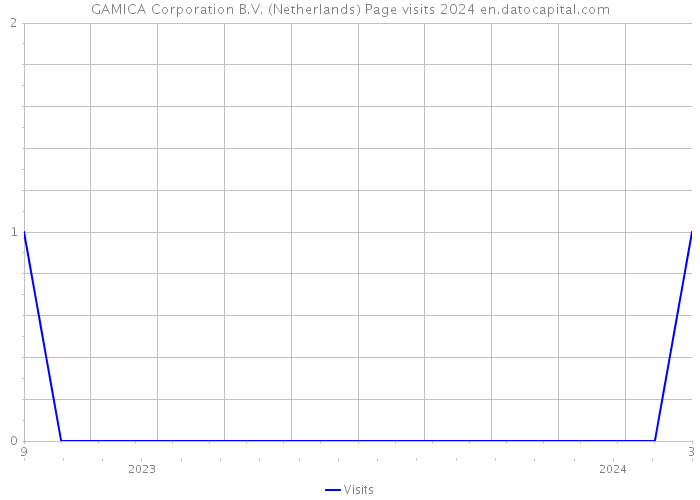 GAMICA Corporation B.V. (Netherlands) Page visits 2024 