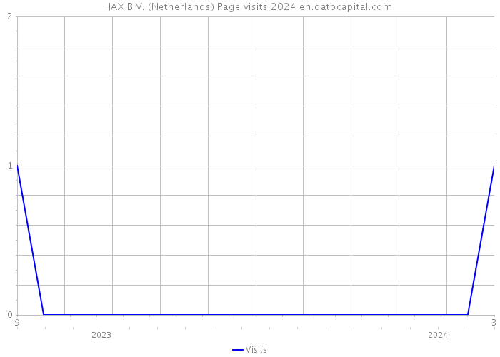 JAX B.V. (Netherlands) Page visits 2024 