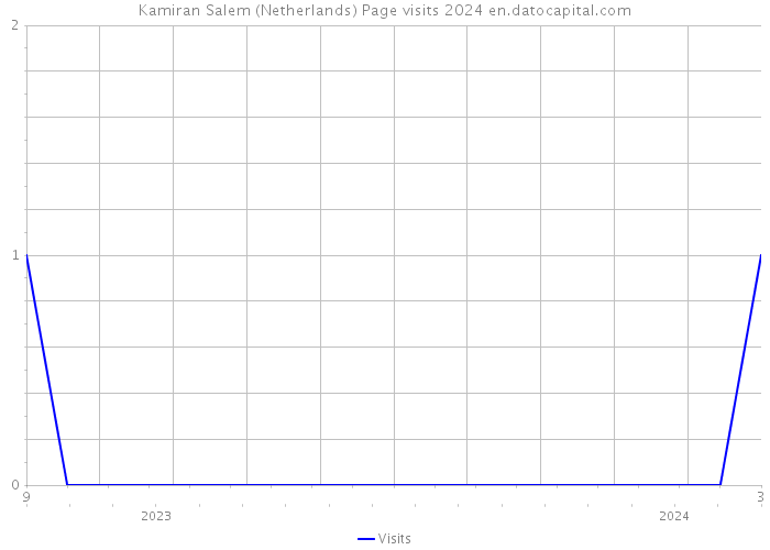 Kamiran Salem (Netherlands) Page visits 2024 