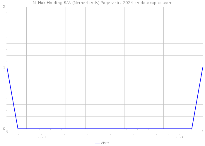 N. Hak Holding B.V. (Netherlands) Page visits 2024 