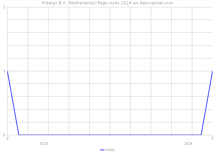 Pidalgo B.V. (Netherlands) Page visits 2024 