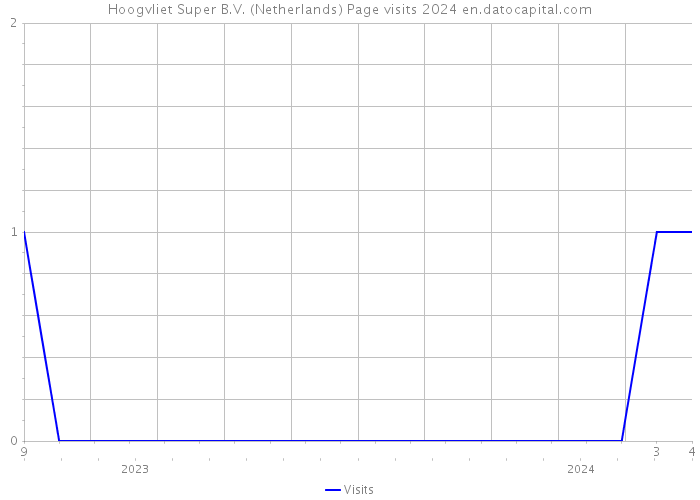 Hoogvliet Super B.V. (Netherlands) Page visits 2024 
