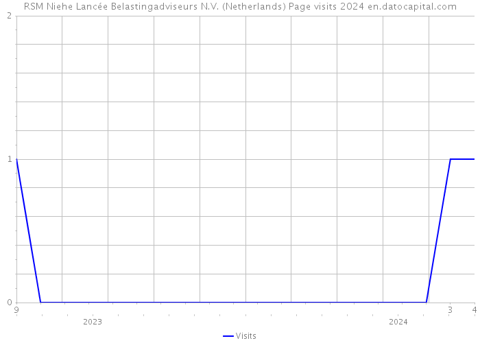 RSM Niehe Lancée Belastingadviseurs N.V. (Netherlands) Page visits 2024 