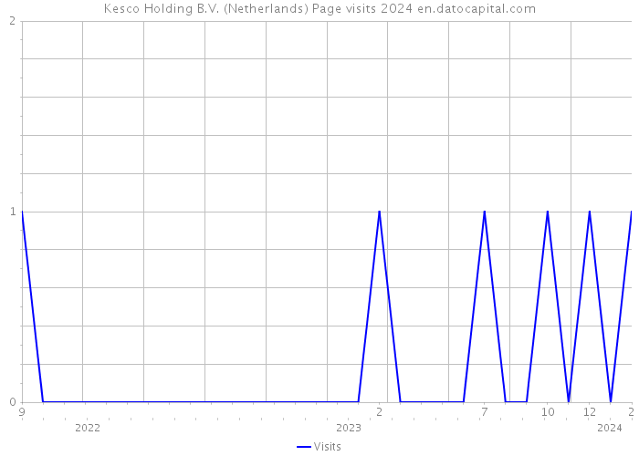 Kesco Holding B.V. (Netherlands) Page visits 2024 