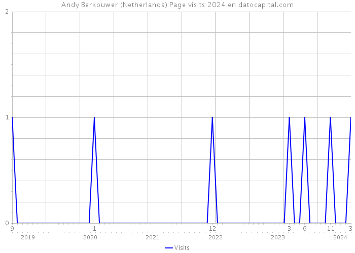 Andy Berkouwer (Netherlands) Page visits 2024 