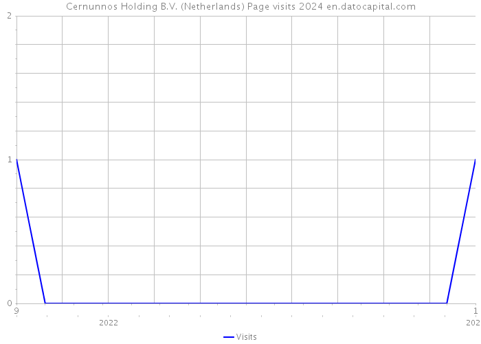Cernunnos Holding B.V. (Netherlands) Page visits 2024 