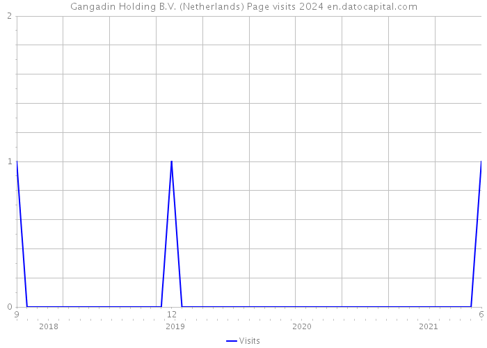 Gangadin Holding B.V. (Netherlands) Page visits 2024 
