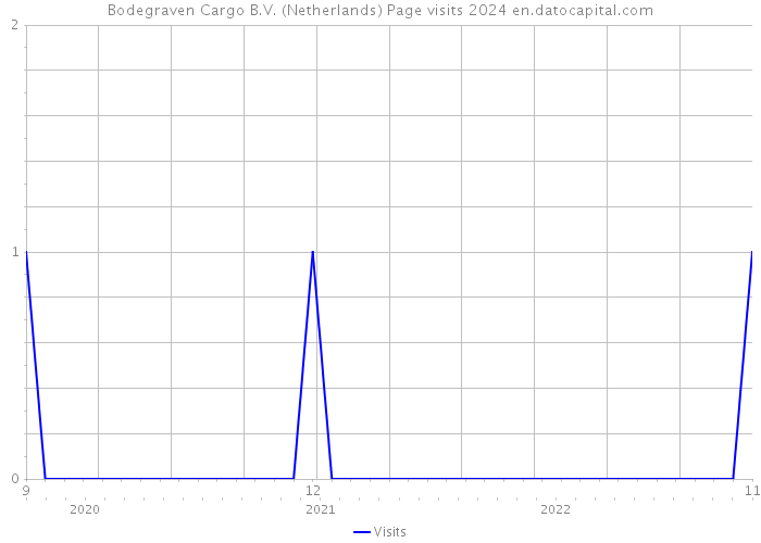 Bodegraven Cargo B.V. (Netherlands) Page visits 2024 