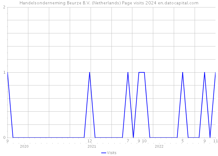 Handelsonderneming Beurze B.V. (Netherlands) Page visits 2024 
