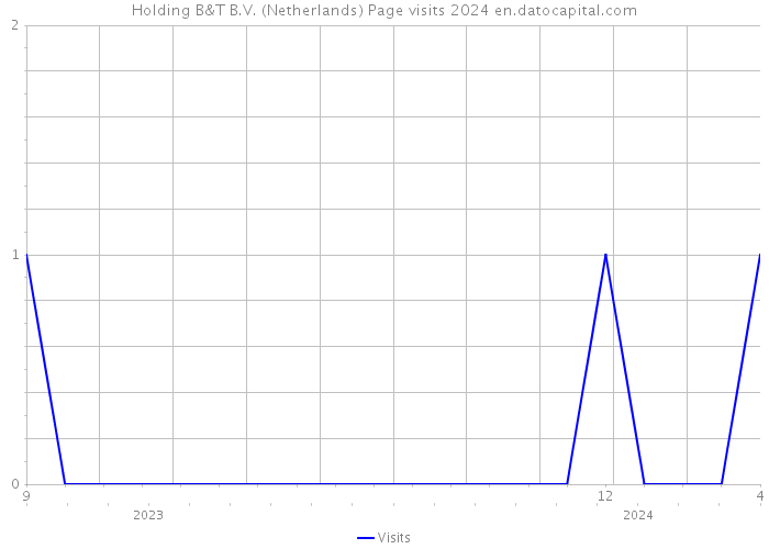 Holding B&T B.V. (Netherlands) Page visits 2024 
