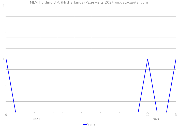 MLM Holding B.V. (Netherlands) Page visits 2024 