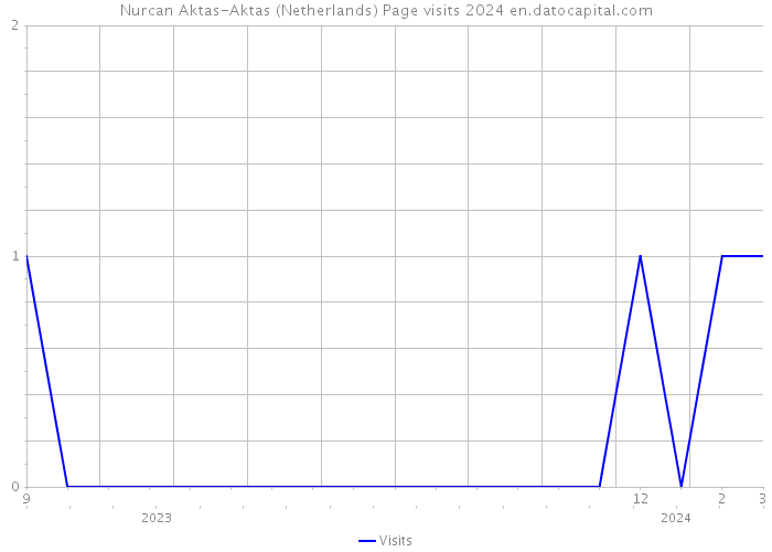 Nurcan Aktas-Aktas (Netherlands) Page visits 2024 