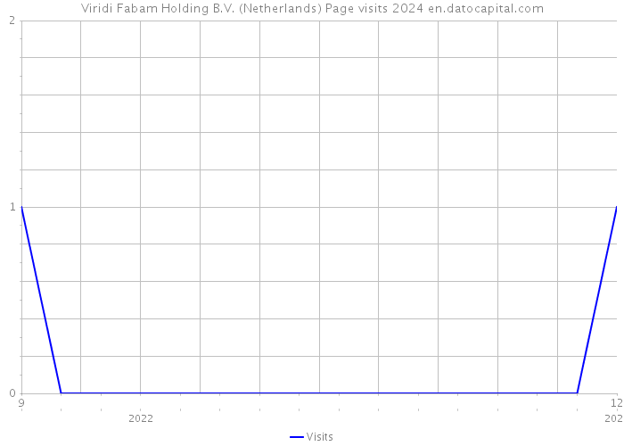 Viridi Fabam Holding B.V. (Netherlands) Page visits 2024 